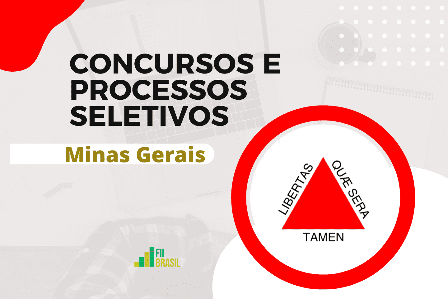 MGS Minas Gerais Processo Seletivo