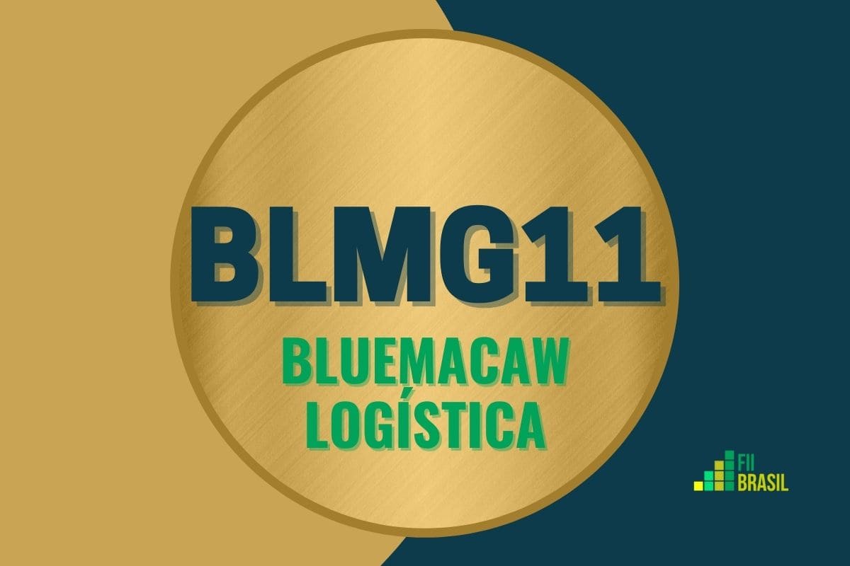 BLMG11: FII Bluemacaw Logística administrador Vórtx