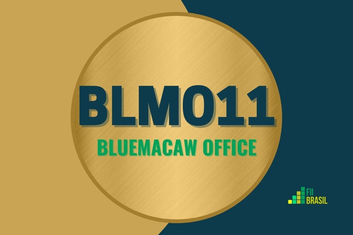 BLMO11: FII Bluemacaw Office administrador BRL Trust