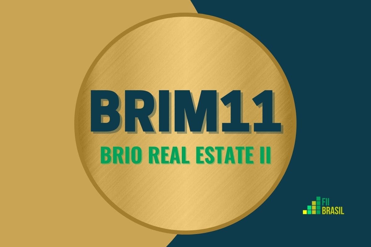 BRIM11: FII Brio Real Estate II administrador BRL Trust