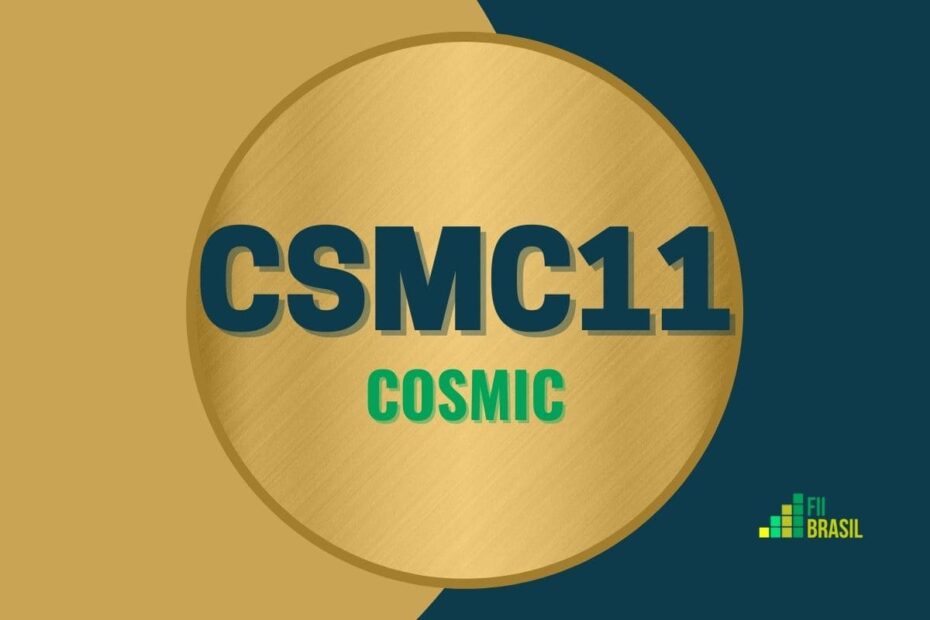 CSMC11: FII COSMIC administrador
