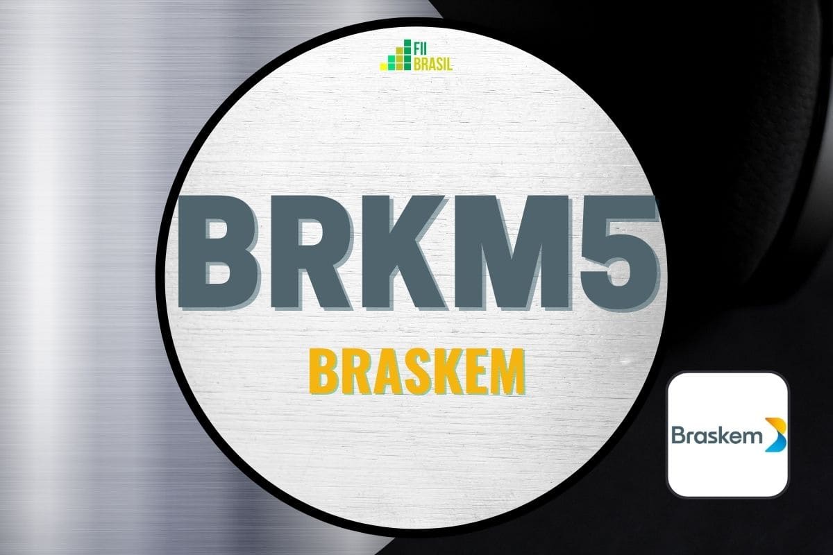 BRKM5 PNA N1 ações Braskem cotação, dividendos e atualizações diárias