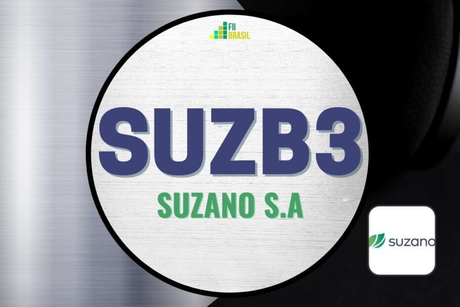 SUZB3 ON ações Suzano cotação, dividendos e atualizações diárias