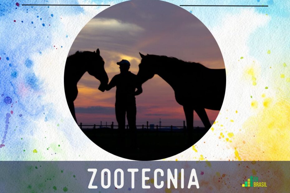Nota De Corte Zootecnia - NAZAEDU