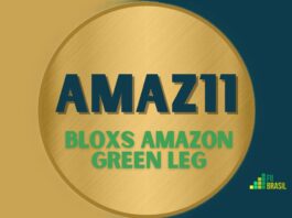 AMAZ11: FII BLOXS AMAZON GREEN LEG administrador