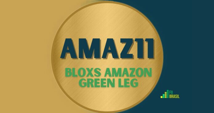 AMAZ11: FII BLOXS AMAZON GREEN LEG administrador