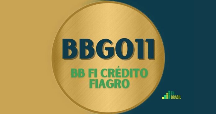 BBGO11: FII BB FI Crédito FIAGRO administrador BB GESTAO DE RECURSOS DTVM S.A