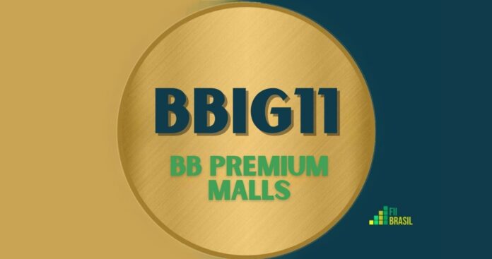 BBIG11: FII BB Premium Malls administrador BB GESTAO DE RECURSOS DTVM S.A