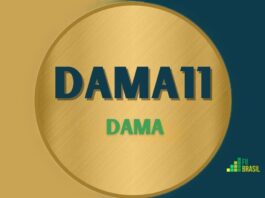 DAMA11: FII Dama administrador BTG PACTUAL SERVIÇOS FINANCEIROS S/A DTVM