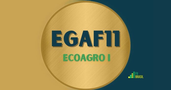 EGAF11: FII Ecoagro I administrador VORTX DISTRIBUIDORA DE TITULOS E VALORES MOBILIARIOS LTDA.