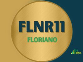 FLNR11: FII FLORIANO administrador