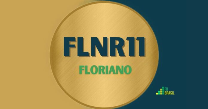 FLNR11: FII FLORIANO administrador