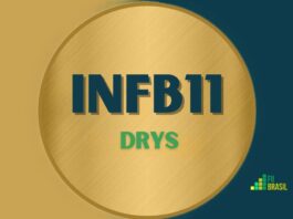 INFB11: FII DRYS administrador